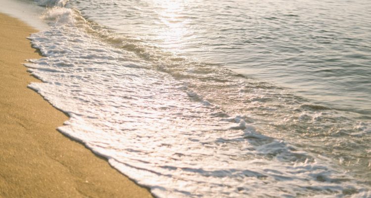 découvrez nos foutas de plage élégantes et pratiques, parfaites pour profiter des journées ensoleillées au bord de l'eau. fabriquées en coton de haute qualité, nos foutas sont légères, absorbantes et sèchent rapidement, idéales pour la plage, les pique-niques ou le spa. apportez une touche de style à votre summer vibe!