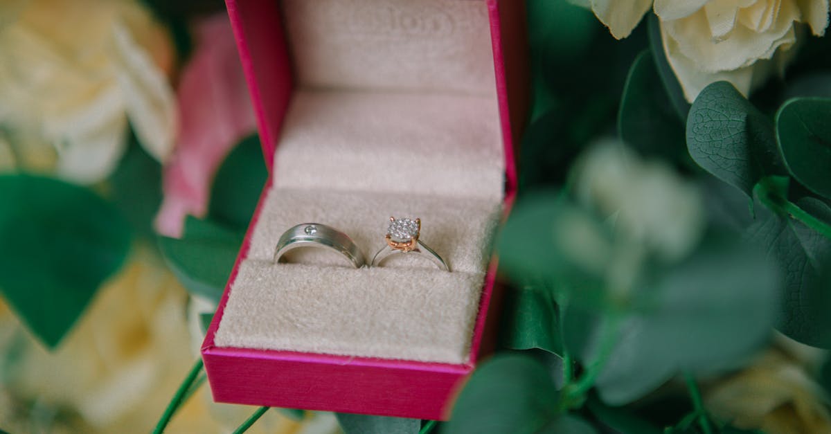 découvrez notre vaste sélection d'accessoires de mode tendance qui ajoutent une touche unique à votre style. que ce soit des bijoux, des sacs ou des lunettes, trouvez l'accessoire parfait pour sublimer votre look au quotidien.