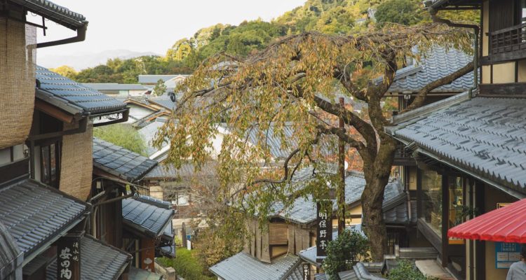 découvrez l'art de vivre japonais : traditions, culture, gastronomie et bien-être au quotidien. plongez dans un univers où harmonie et simplicité se rencontrent pour enrichir votre quotidien.