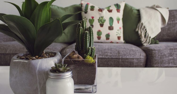 découvrez des idées et inspirations pour la décoration intérieure. conseils, astuces et tendances pour sublimer votre maison avec style et originalité !