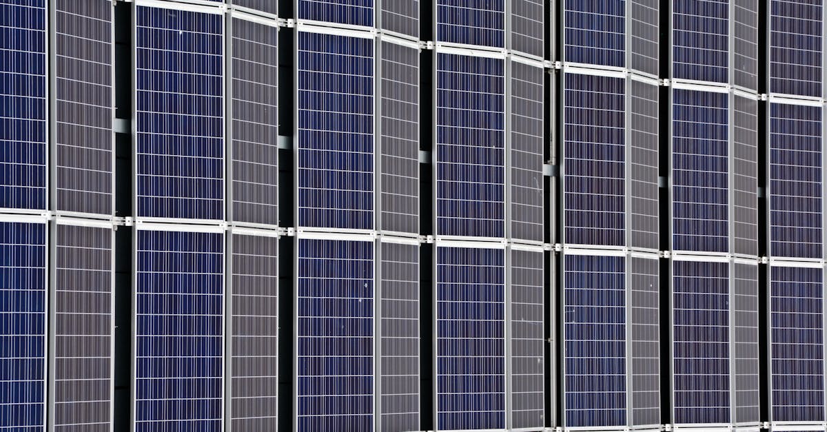 découvrez les principes et les pratiques de la durabilité pour un avenir plus respectueux de l’environnement. adoptez des solutions durables au quotidien afin de préserver les ressources naturelles et améliorer la qualité de vie.