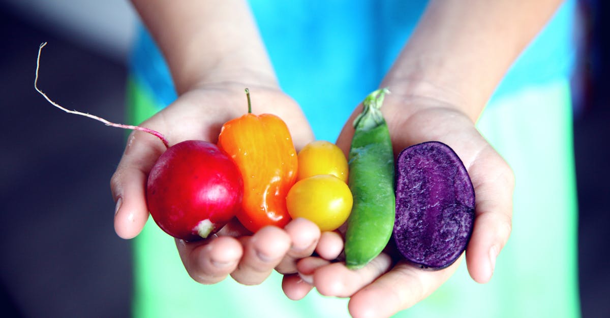 découvrez l'importance d'une alimentation équilibrée, ses bienfaits pour la santé et des conseils pratiques pour adopter un régime varié et nutritif au quotidien.