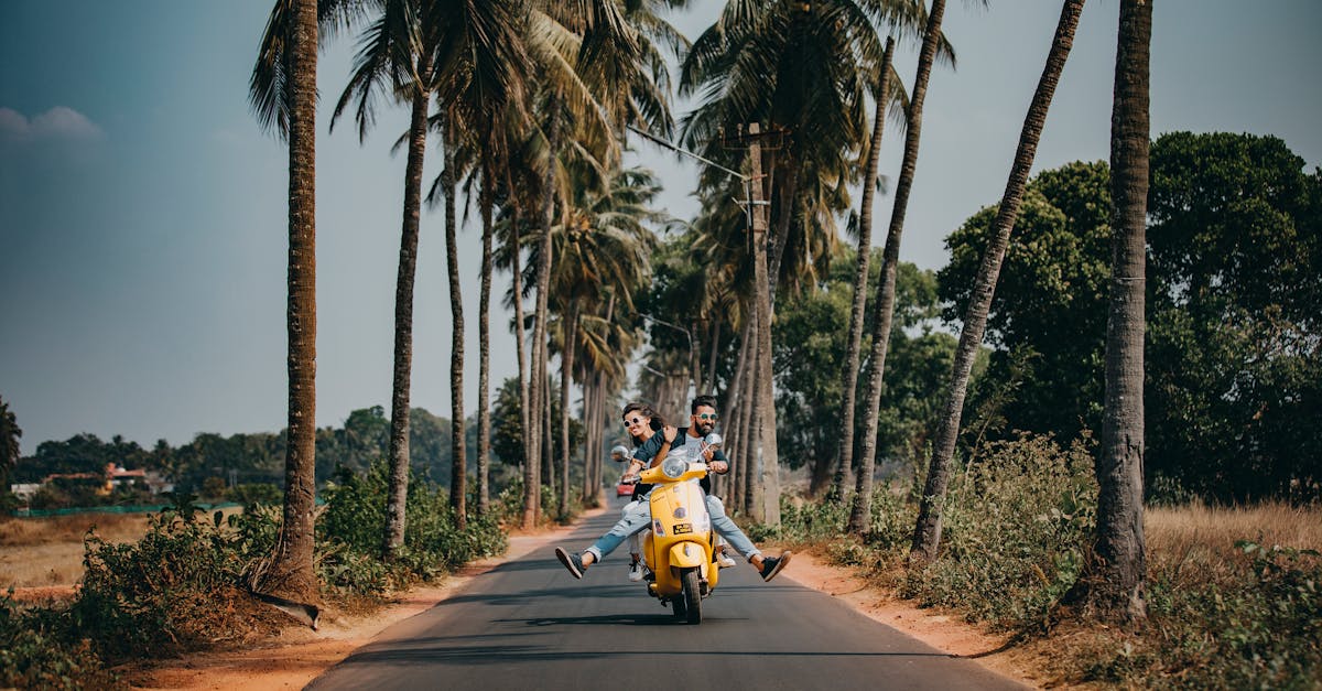 découvrez des conseils, des astuces et des destinations inspirantes pour vos voyages. préparez votre prochaine aventure avec nos guides pratiques et idées pour explorer le monde.